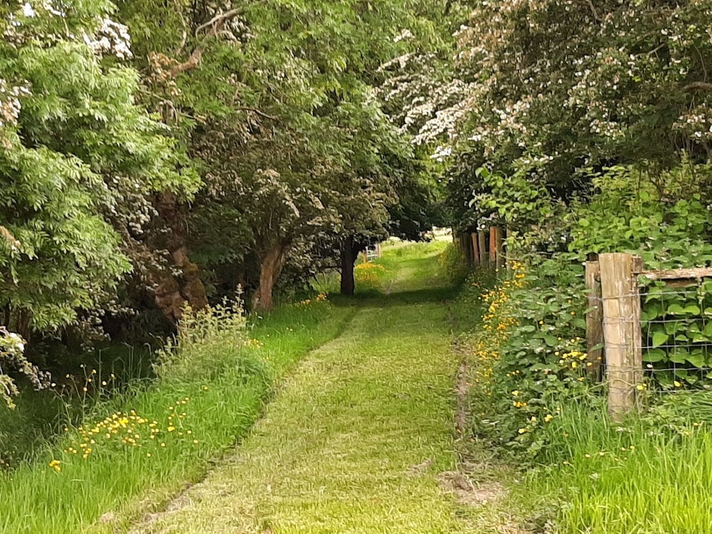 Photo 23