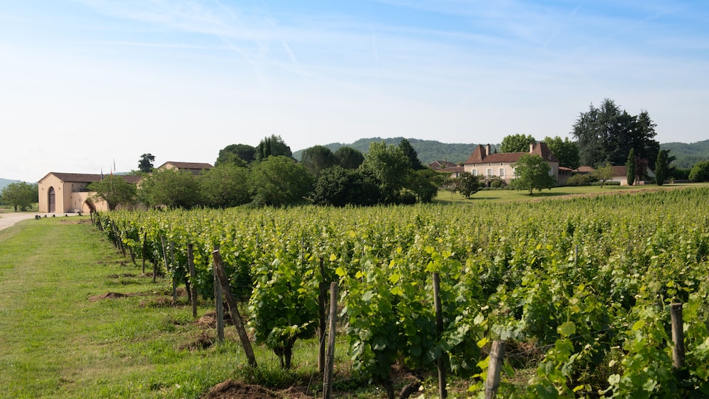 Château Gautoul photo 5