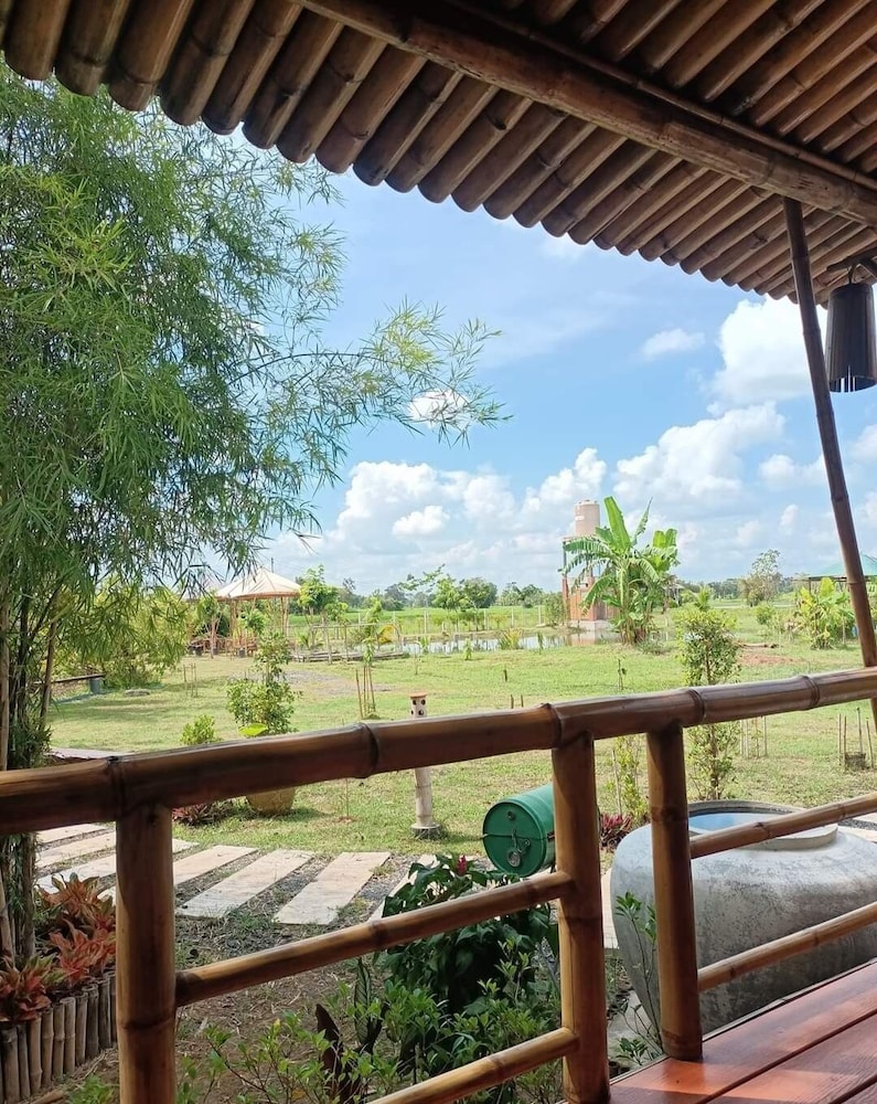 Bamboo Conservation Farm