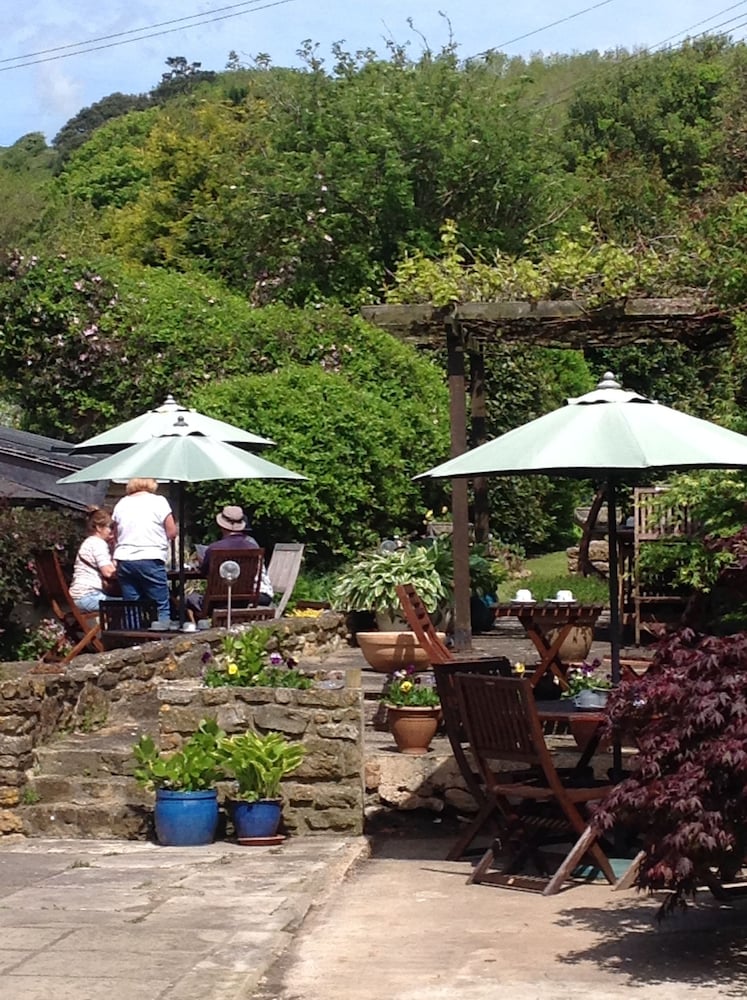 Abbotsbury Tea Rooms