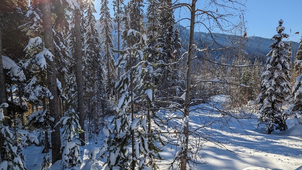 Sun Peaks Vacations - On the Run Chalet - Property Image 3