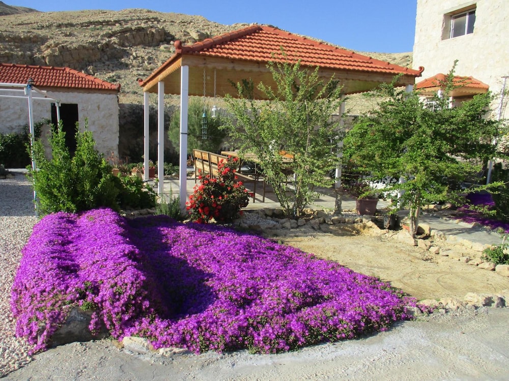 Petra Bed & Breakfast
