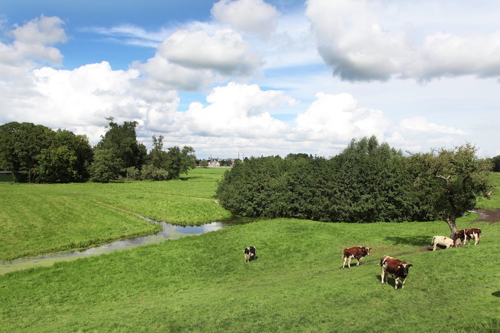 Quaint Farmhouse near River in Oosterwijk view 5