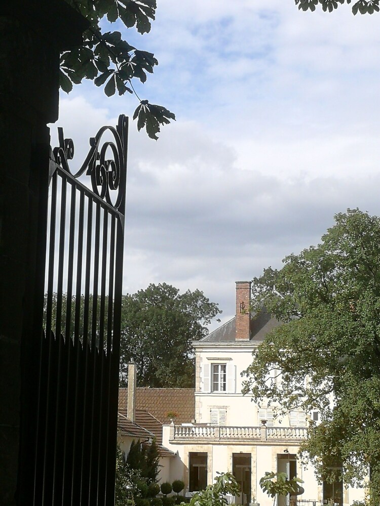 Photo 24