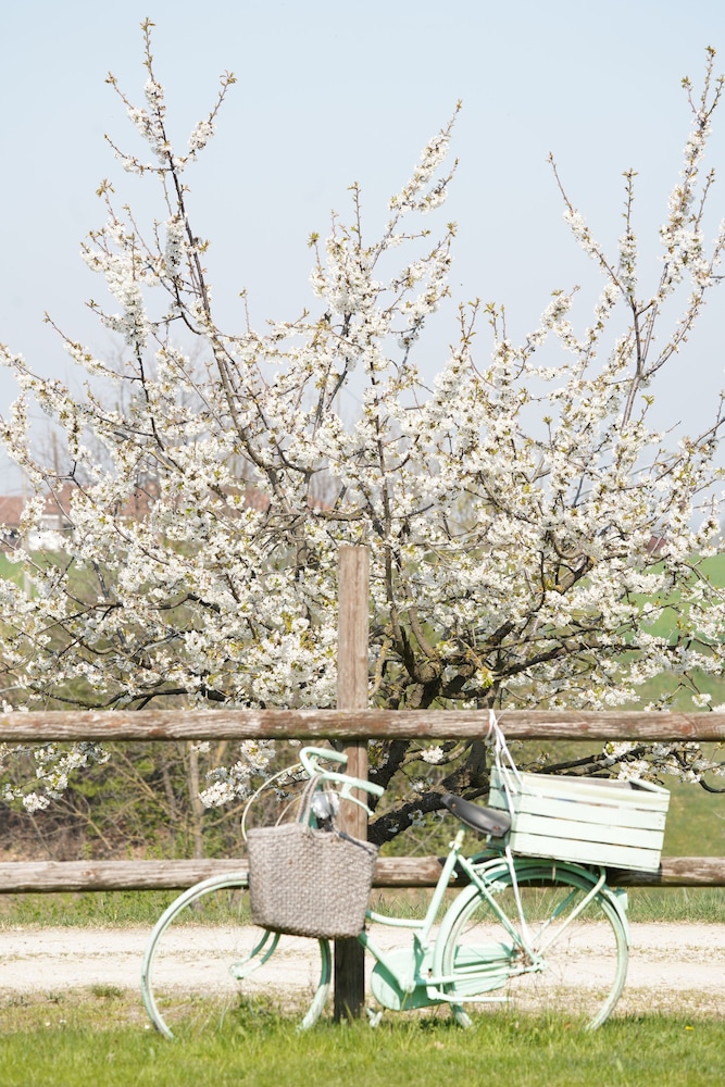 Agriturismo Cascina Papa Mora