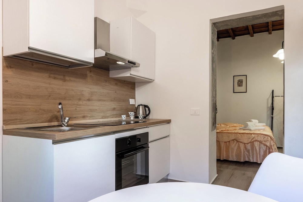 Carmine Apartment San Frediano