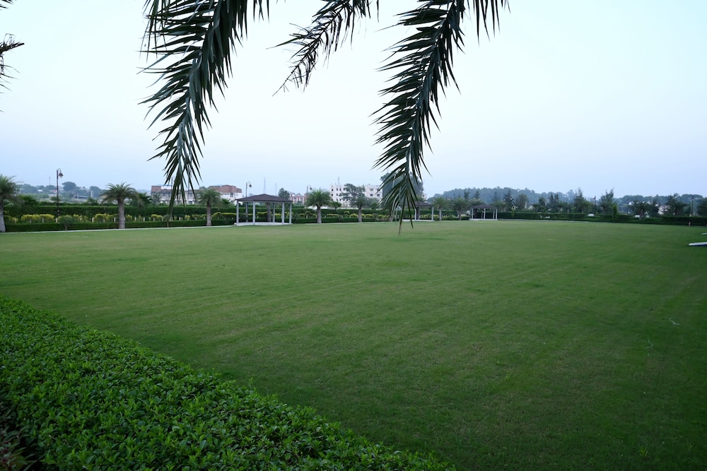 Photo 49