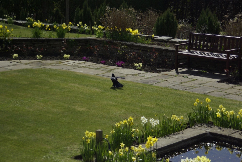 Dunfermline Vacations - Pitbauchlie House Hotel, Sure Hotel Collection by BW - Property Image 7