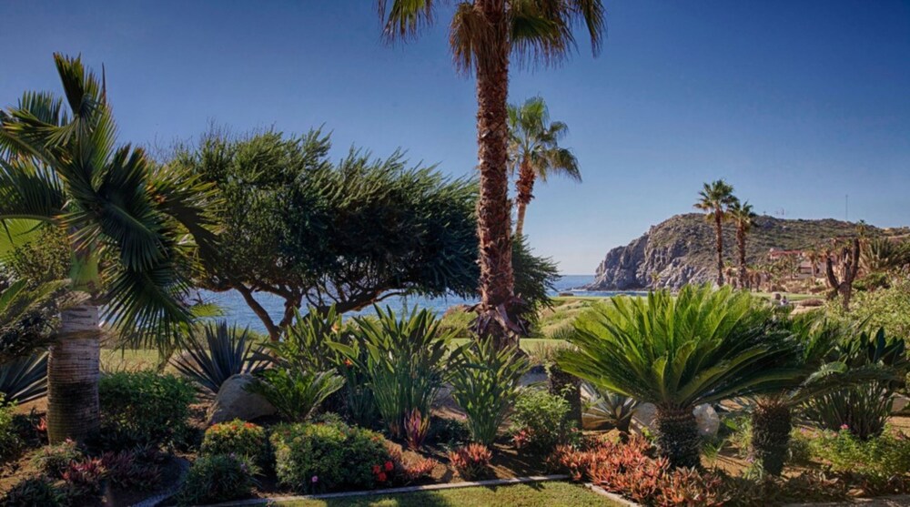 Casa Brooks by Cabo Platinum