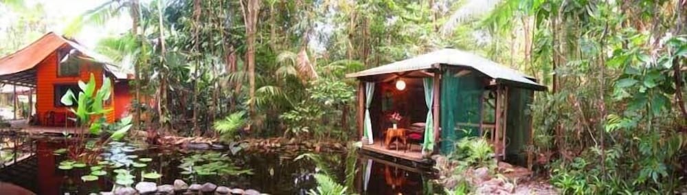 Rainforest Hideaway