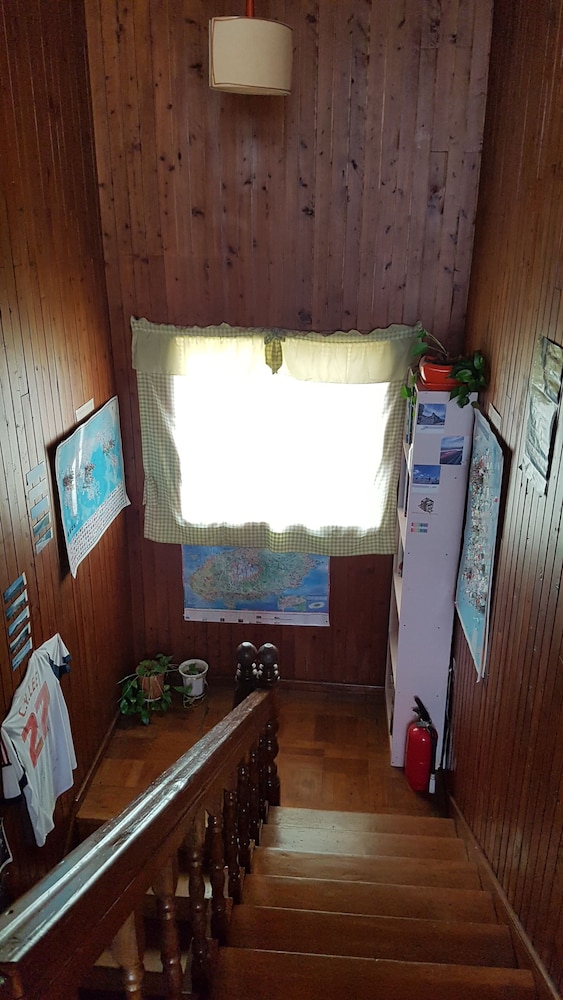 Springflower Guesthouse - Hostel