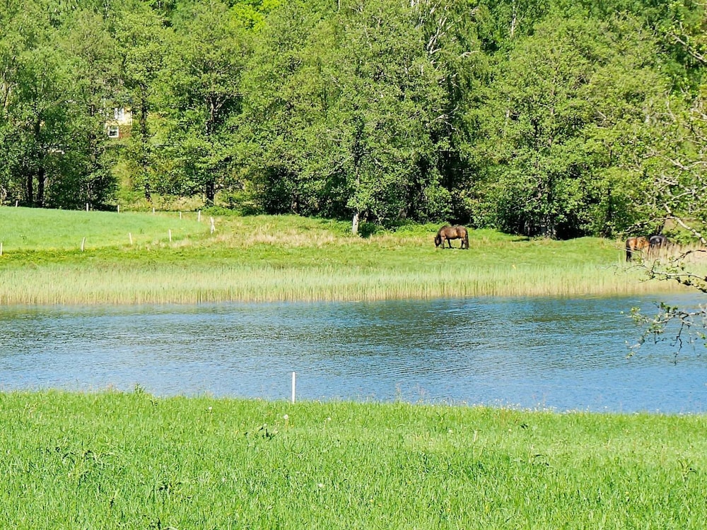 Holiday Home in Ullared view 3