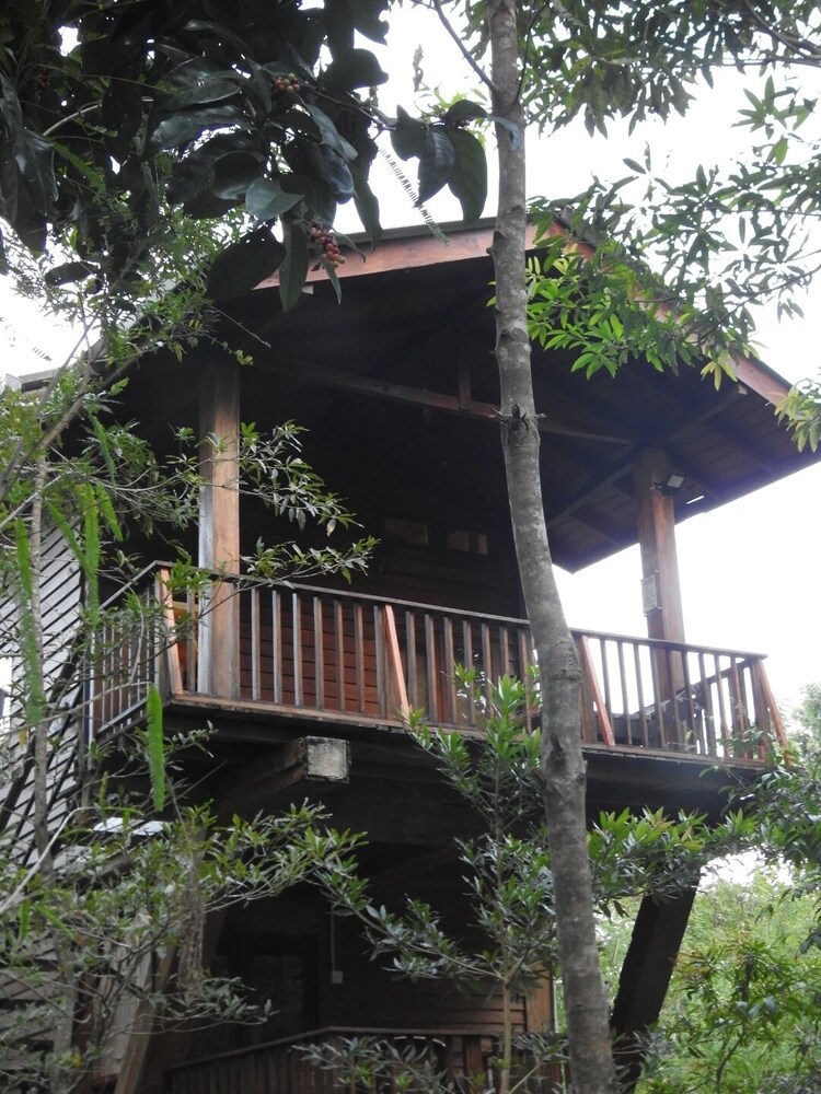 wilpattu Tree House view 5