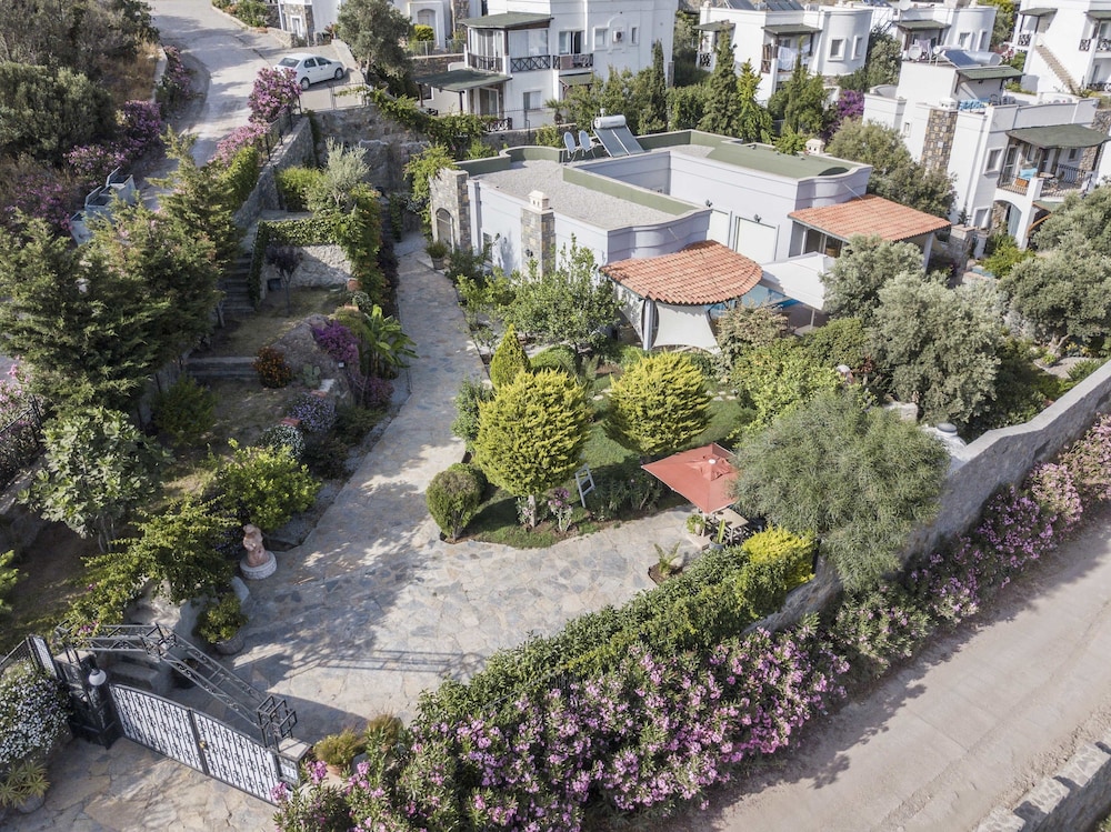 Villa Olivia
