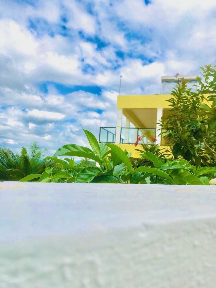 Allenview Guesthouse