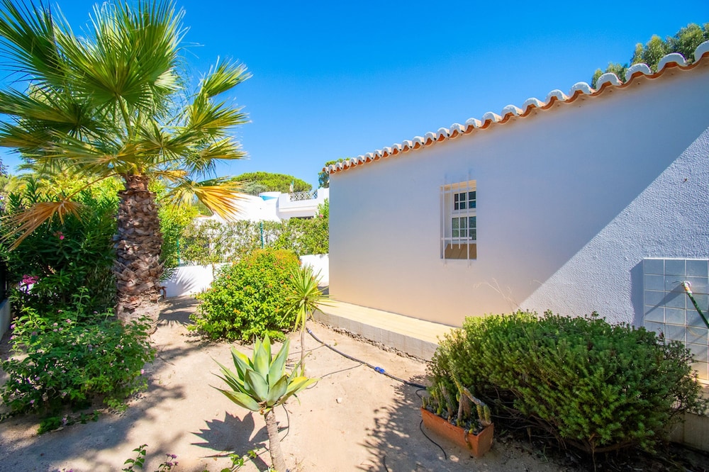 The Gaff in Carvoeiro