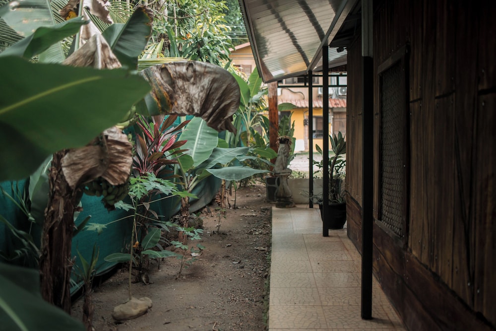 Dominical Long Term Rental