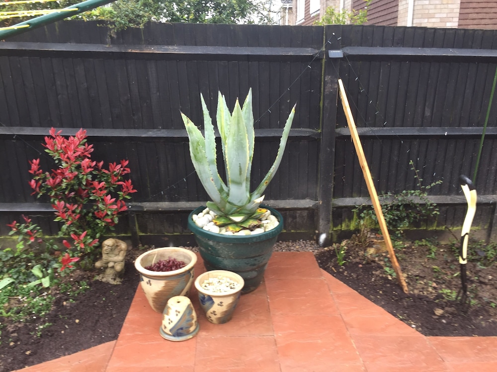 Photo 17
