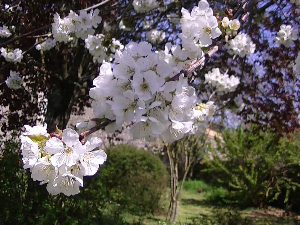 Domaine de L'estuaire