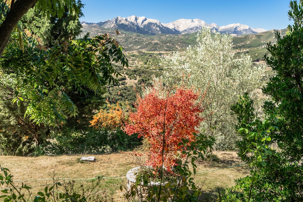 Luxury Chalet Vila with amazing view