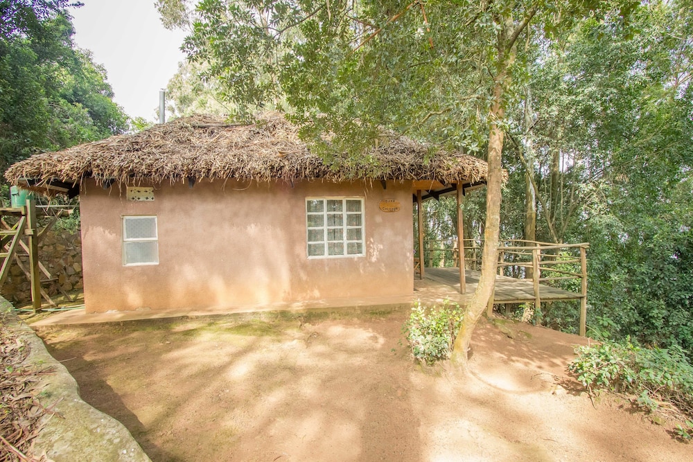 Bushara Island Camp