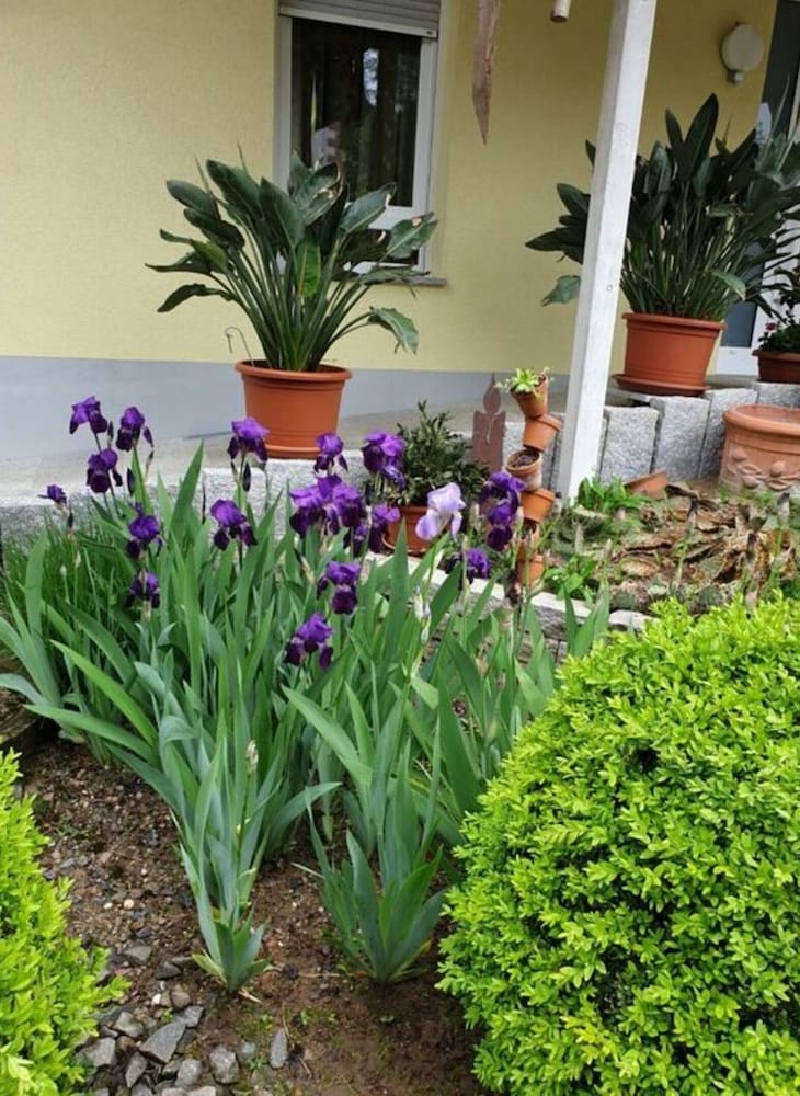 Holiday Apartment in the Rose Garden