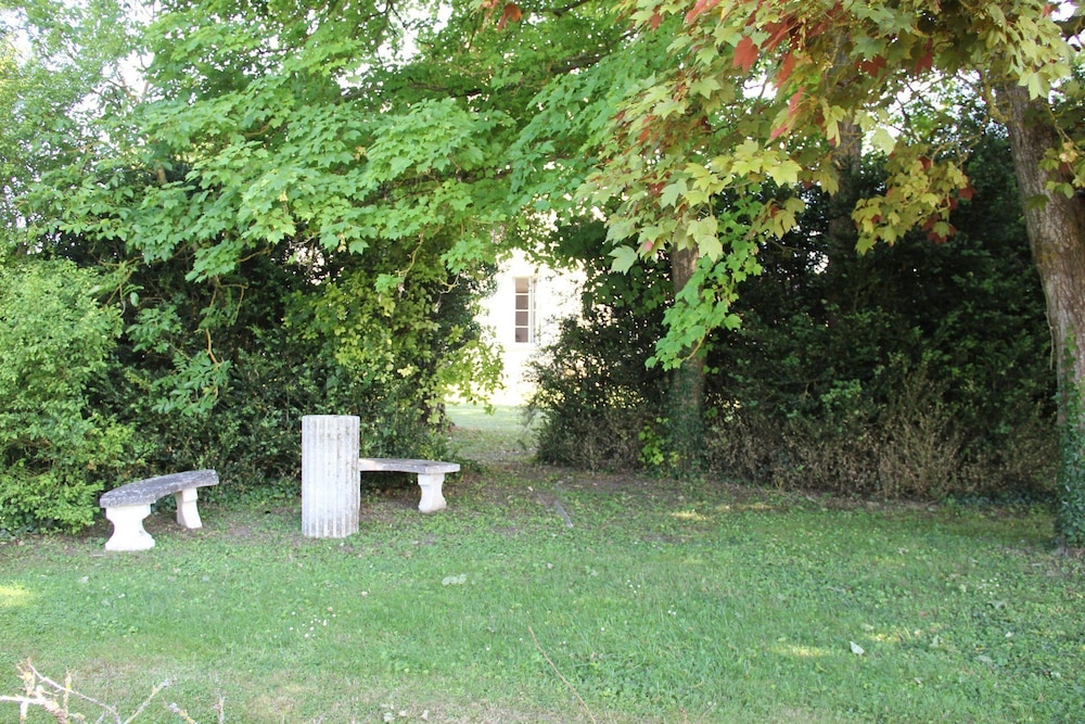 Photo 47