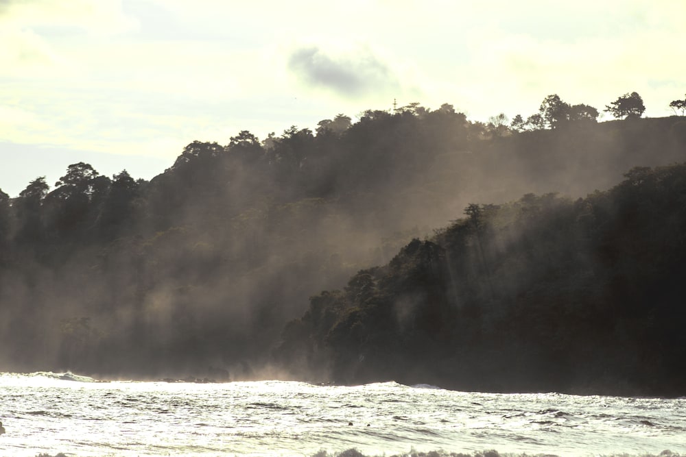 Selina Manuel Antonio - Hostel