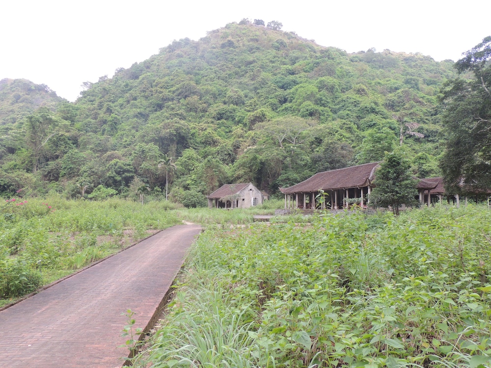 The Ancient House