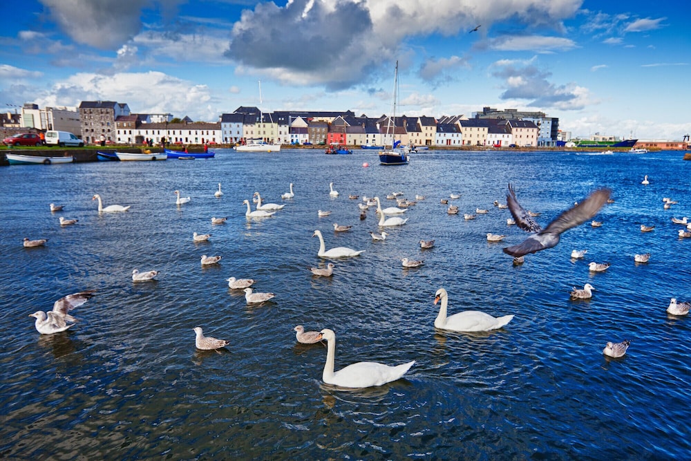 Atlantic Lodge en Galway