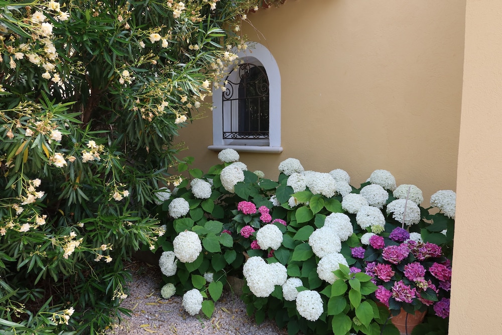 Photo 19