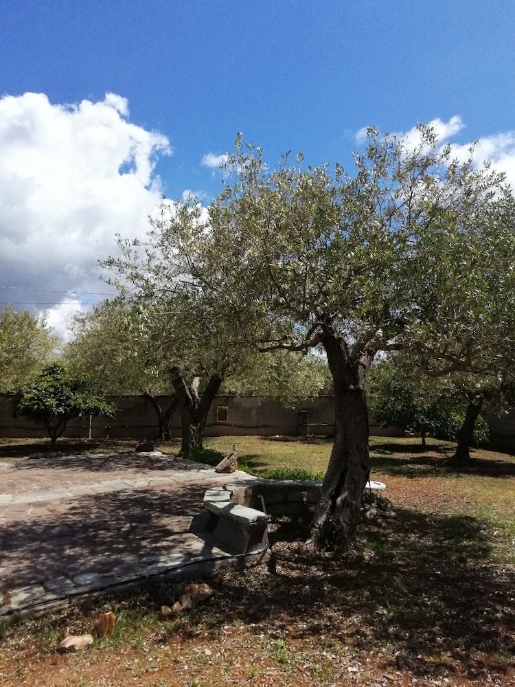 Photo 25