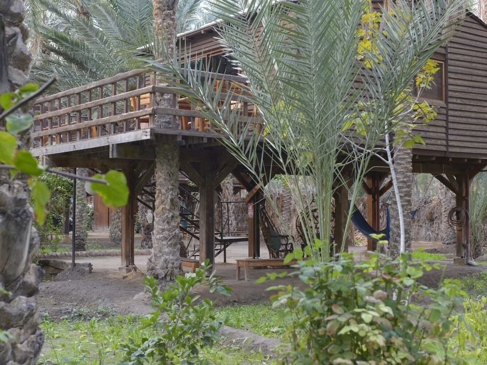 Tozeur Vacations - Hotel Diar Abou Habibi - Property Image 9