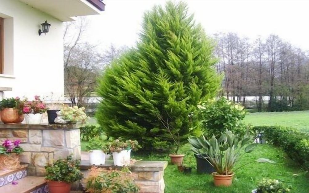 Agroturismo Ibarrondo Etxea