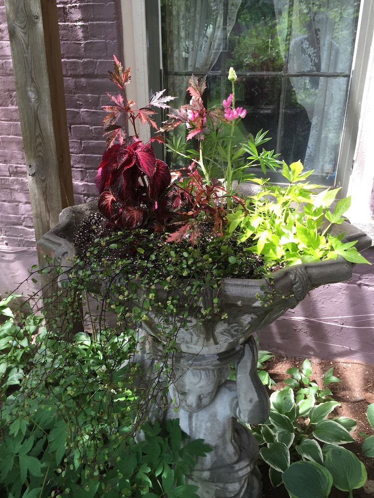 Galena Vacations - Annie Wiggins Guest House - Property Image 12