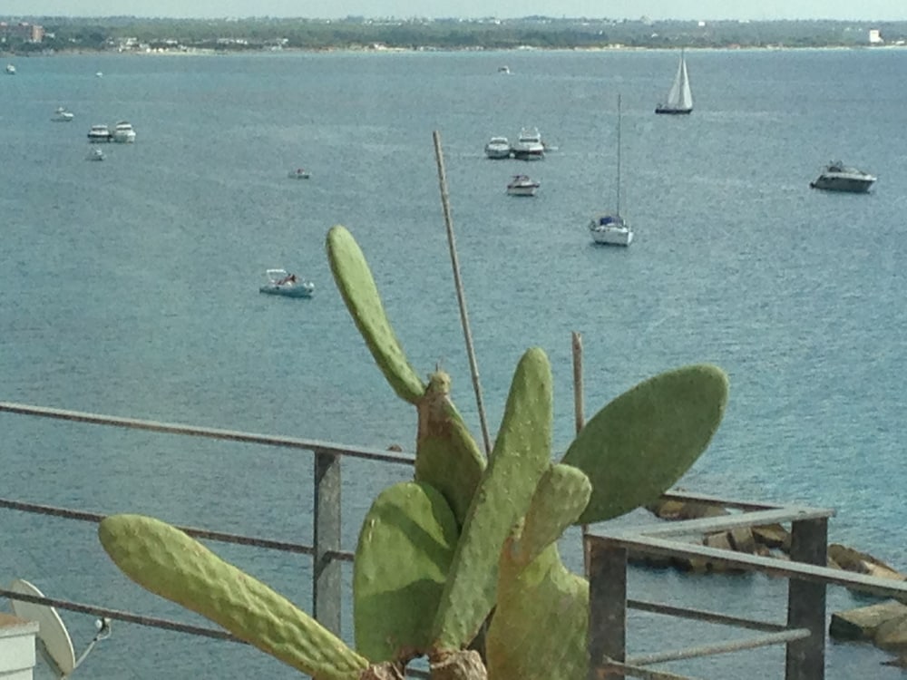Salento Palace Bed & Breakfast