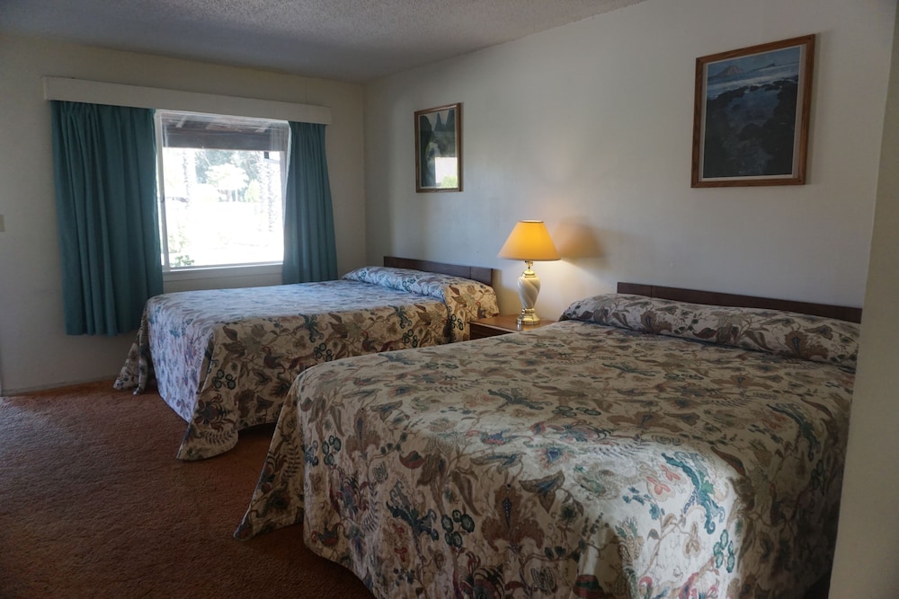 Willows Vacations - Blue Gum Motel - Property Image 5