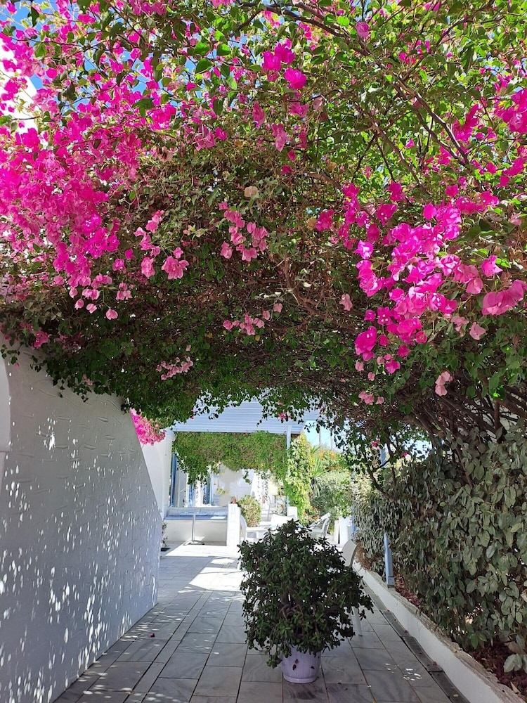Stratos Studios & Apartments, photo 55