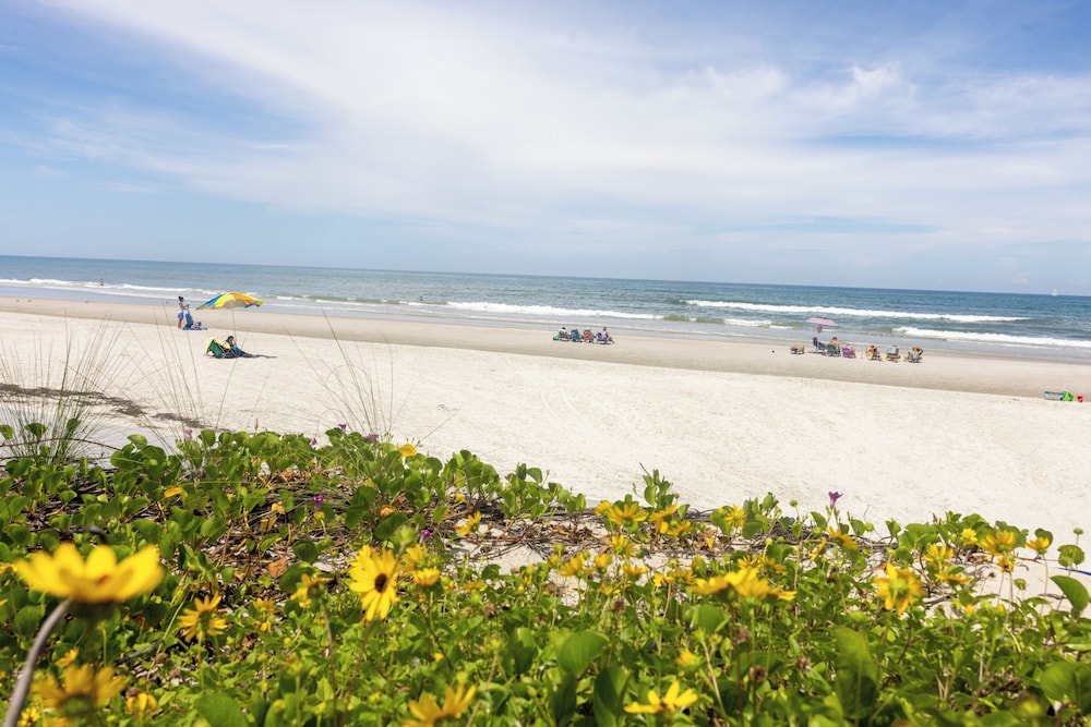 Sea Woods Condo 169