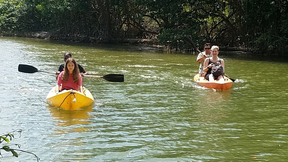 Palmento Grove Eco Cultural & Fishing Lodge