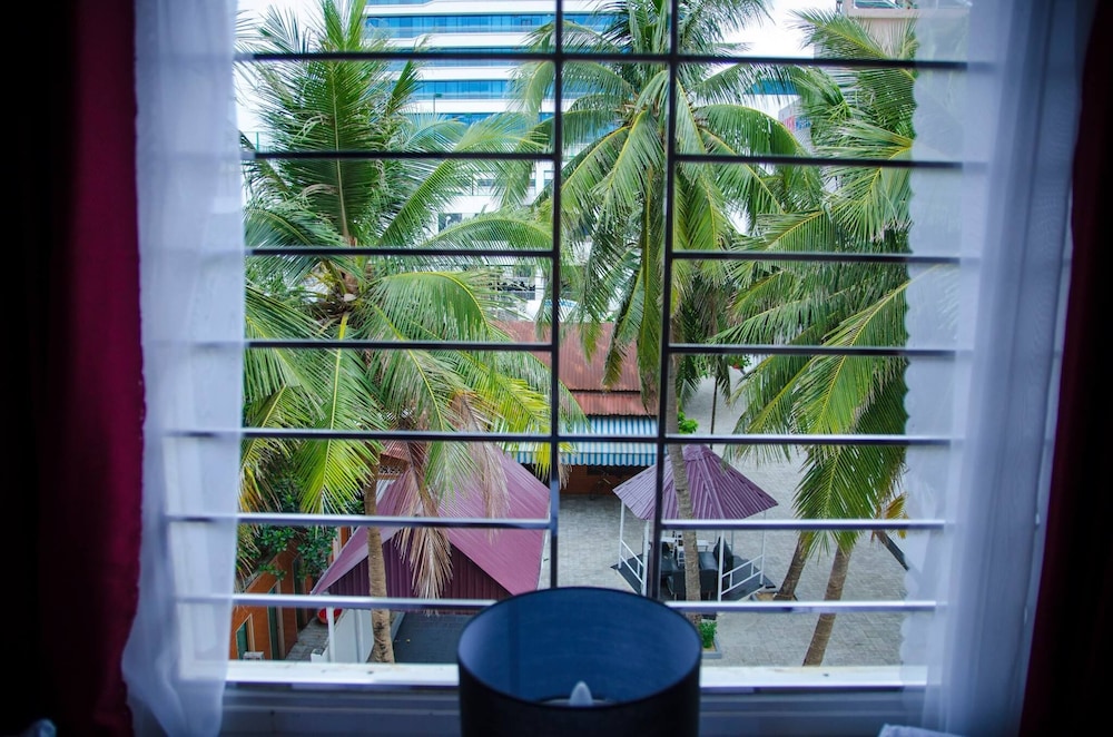 Alo House