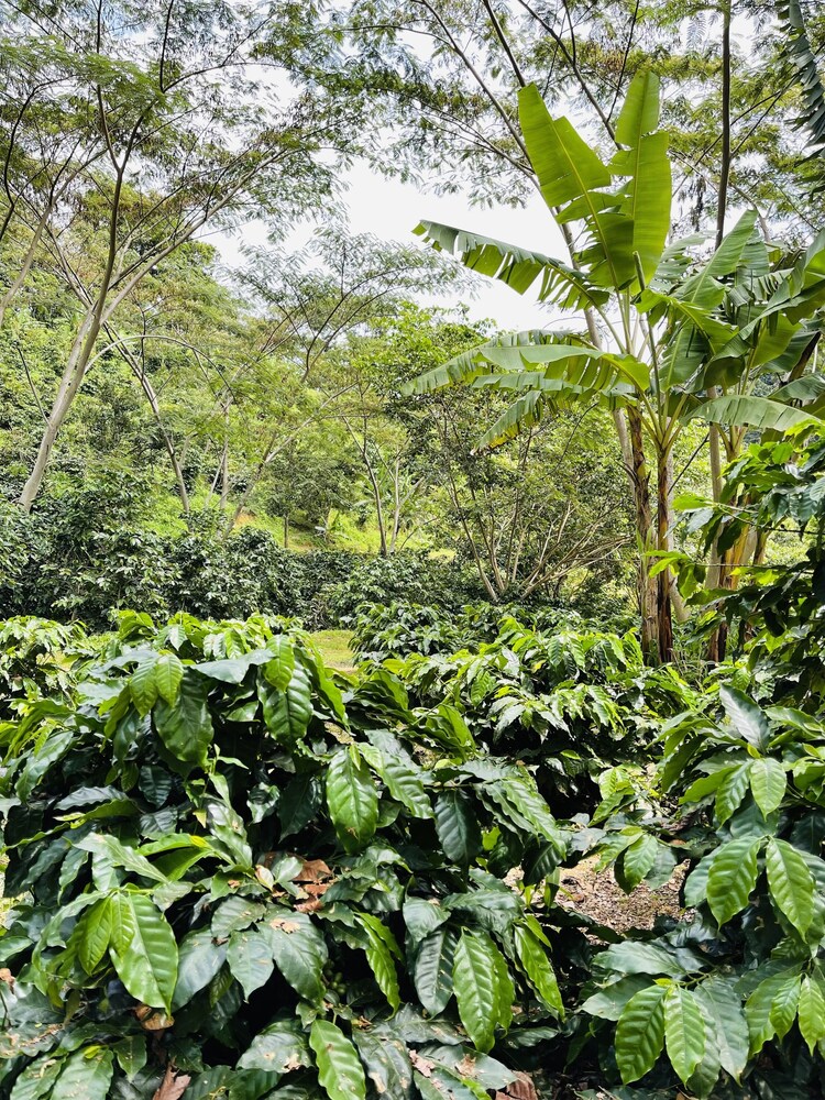 HACIENDA ILUMINADA ECO RETREAT
