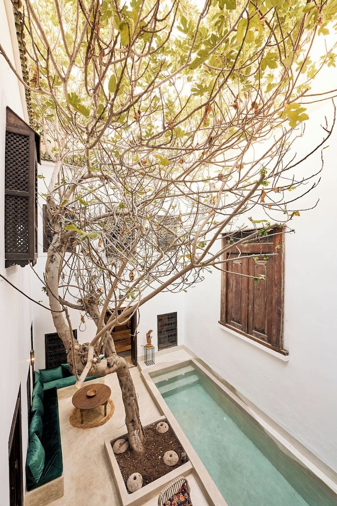 RIAD YLHA