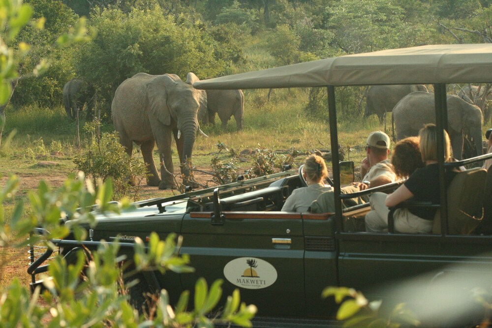 Makweti Safari Lodge