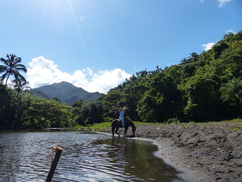 Richmond Vale Diving and Hiking Center - Hostel - Photo 36