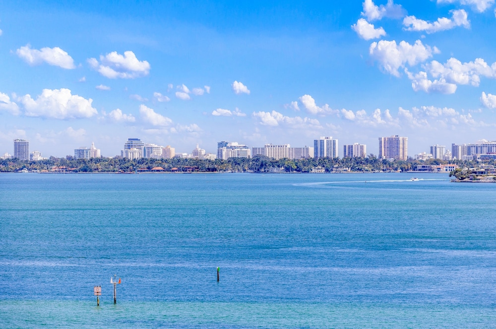 Beyond the Sand Biscayne Bay