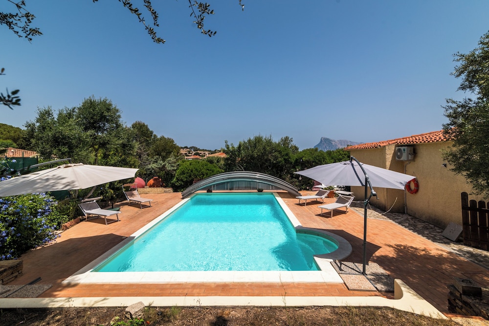 Appartamento Est With Shared Pool en San Teodoro — recepcion & lobby