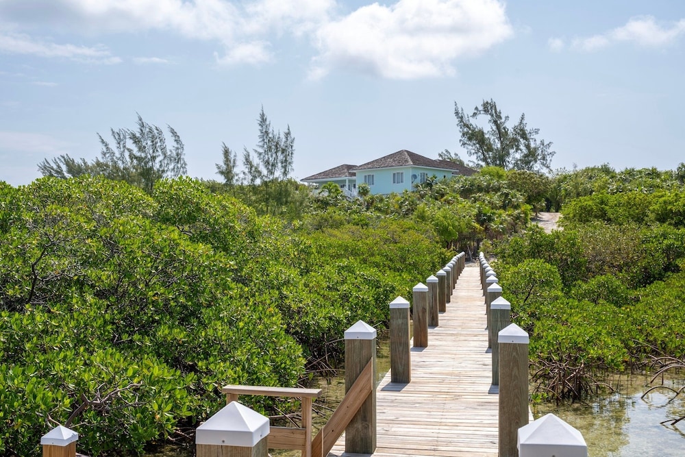 Turtle Pointe - Lux New Windermere Home W/pool, Boat Dock, Beach 3 Bedroom Home