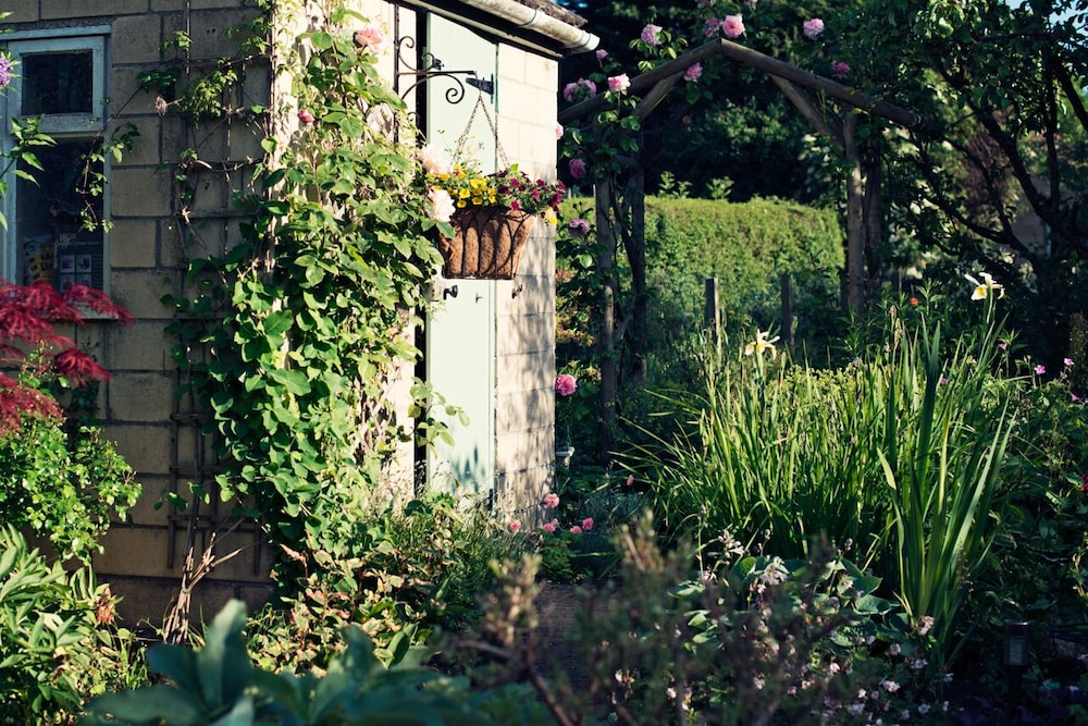 Photo 23