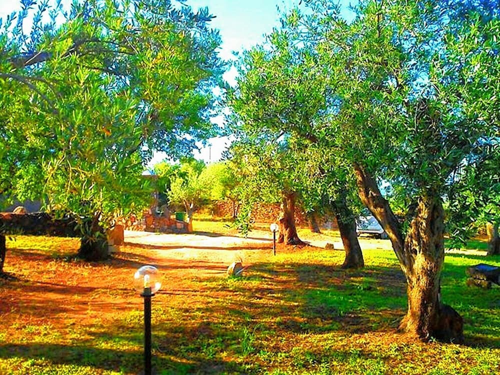 Photo 44